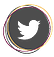TwitterIcon